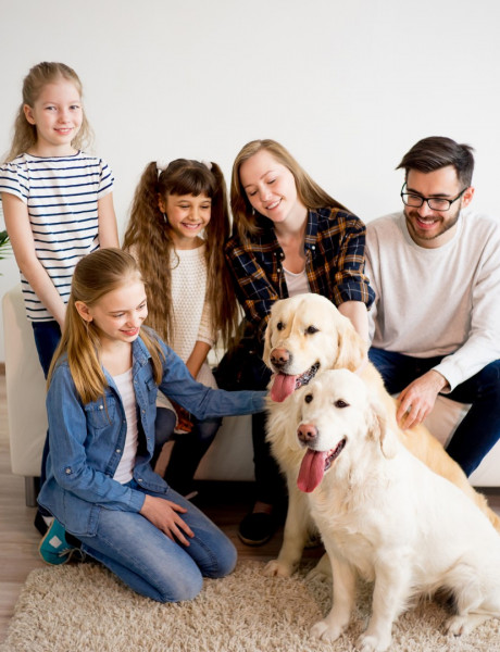 Семейное фото дома с собаками